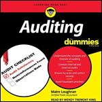 Auditing for Dummies [Audiobook]